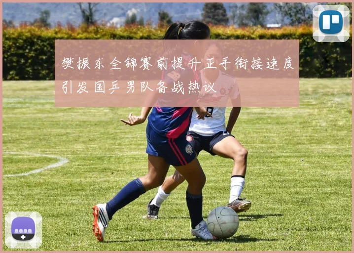 樊振东全锦赛前提升正手衔接速度引发国乒男队备战热议