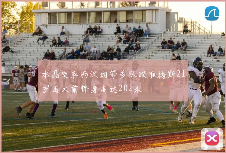 水晶宫和西汉姆等多队瞄准梅斯21岁高大前锋身高达202米