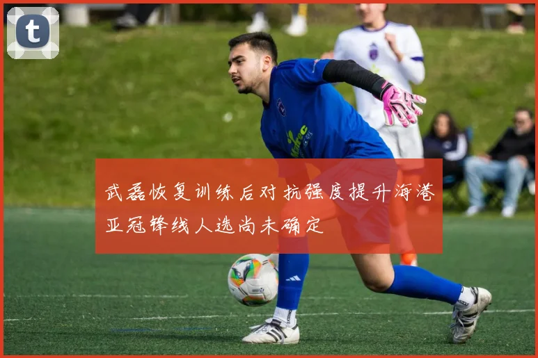 武磊恢复训练后对抗强度提升海港亚冠锋线人选尚未确定